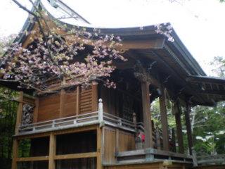 佐喜浜八幡宮：写真2