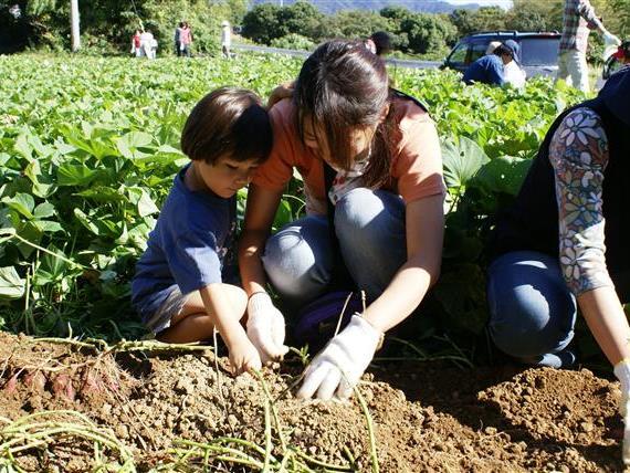 西山海成段丘：写真2