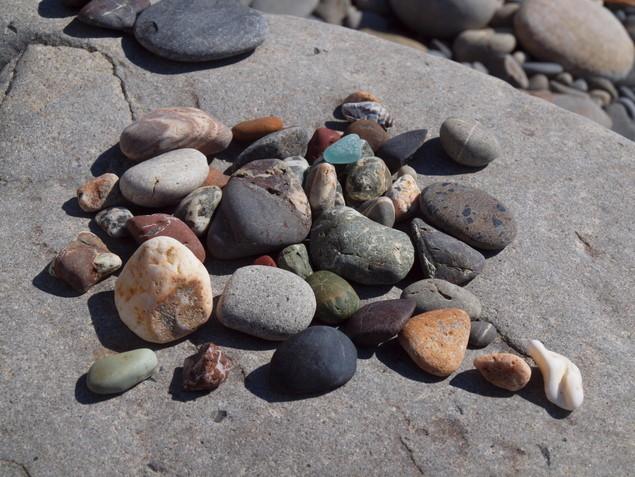 ウミガメ産卵地（元海岸）：写真2