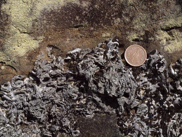 一木(いちき)神社：写真2