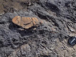 メランジュ：写真2