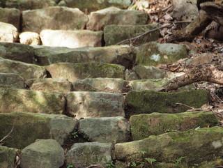 四十寺山層：写真2