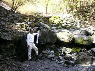 加奈木(かなぎ)のつえ：写真2