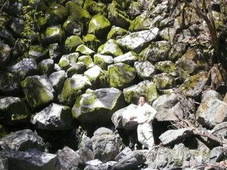 加奈木(かなぎ)のつえ：写真3