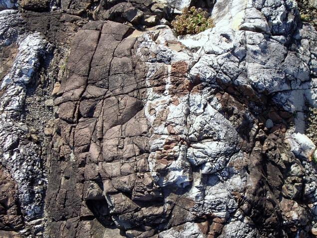 ホルンフェルス：写真2