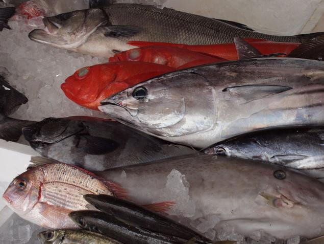 室津(むろつ)港：写真2