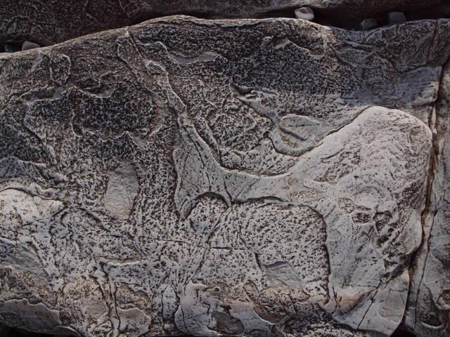 菜生(なばえ)-坂本海岸：写真3