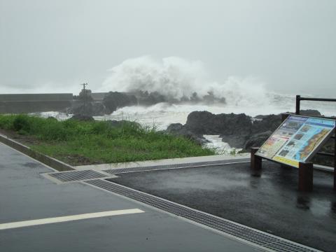 DSC03685_convert_20110719174309 室戸ジオパーク新村遊歩道