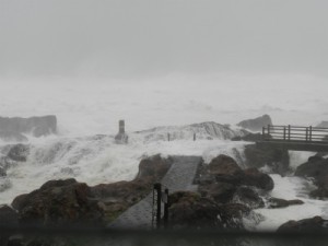 遊歩道のまれる