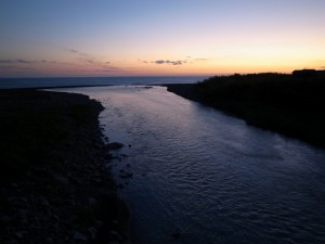 羽根川の夕闇