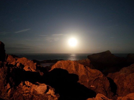 996794_424801230959643_1268221646_n