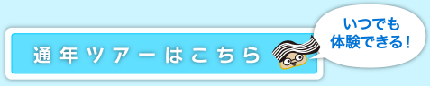 通年ツアーはこちら