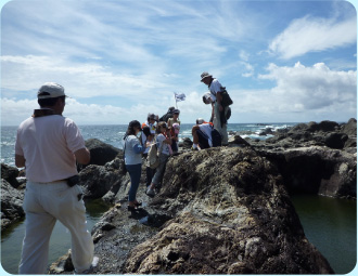 WEB申し込み受付中