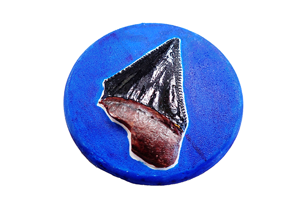 化⽯レプリカ作り