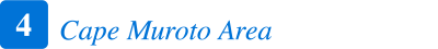 Cape Muroto Area