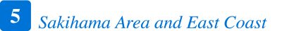 Sakihama Area and East Coast