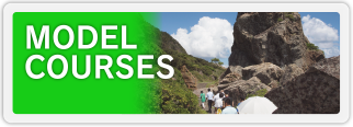 MODEL COURSES