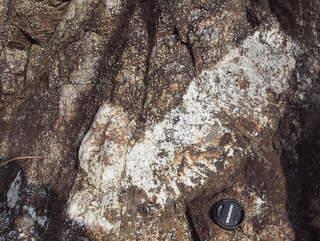 斑レイ岩ペグマタイト：写真1