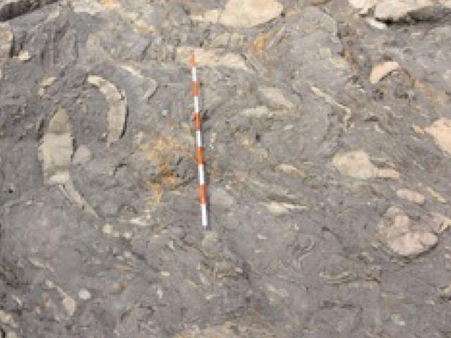 黒耳(くろみ)海岸：写真1