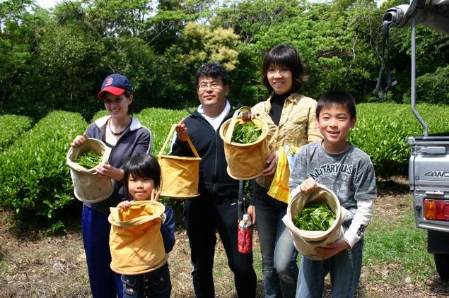 崎山海成段丘：写真1