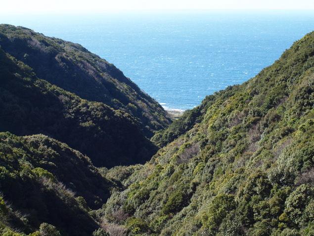 崎山台地の断層：写真1