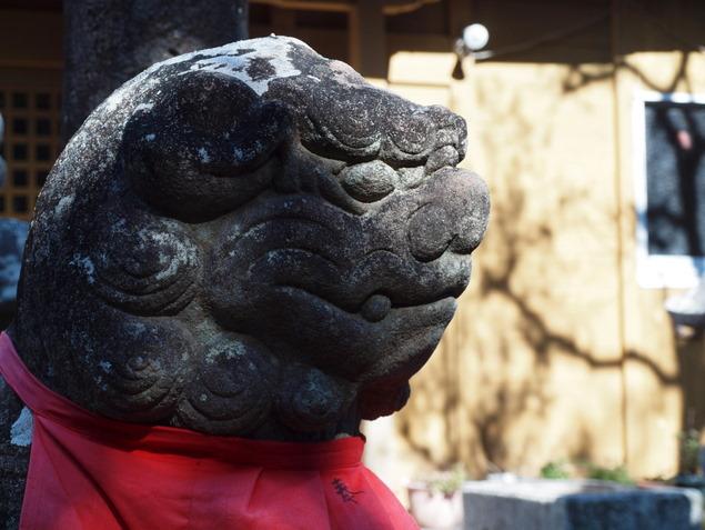 浮津中導寺：写真1