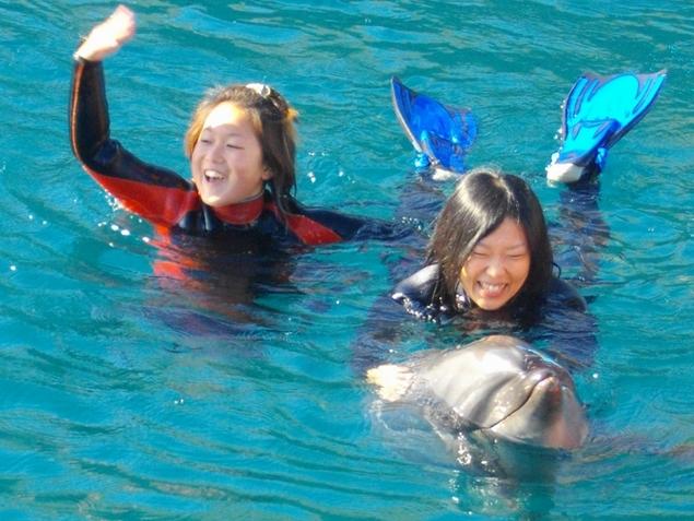 ドルフィンセンター：写真1