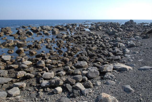 地震により隆起した浜：写真1
