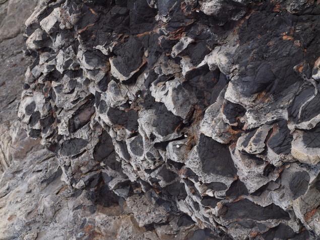 偽レキ岩：写真1