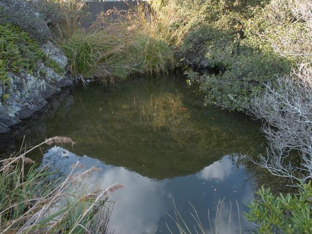 目洗いの池 目洗いの池:写真1
