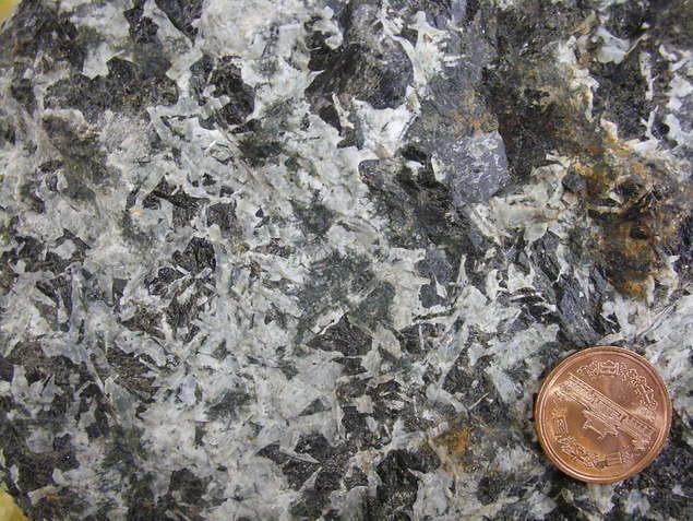 斑レイ岩 斑レイ岩:写真1