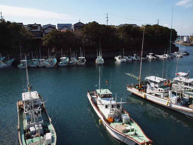 室津(むろつ)港：写真2