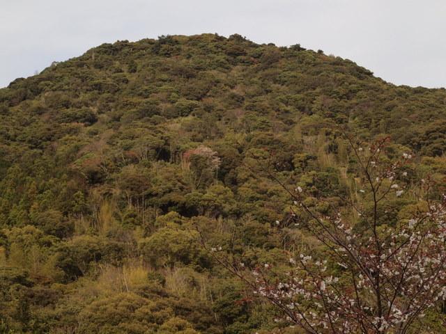 四十寺山(しじゅうじさん) 四十寺山(しじゅうじさん):写真1