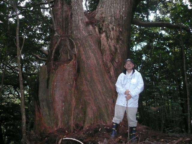 段ノ谷山(だんのたにやま)：写真1