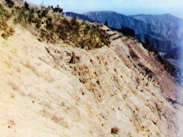 加奈木(かなぎ)のつえ：写真1